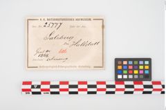 Etikett zu Bronzearmreif (NHMW-PRAE-025777)